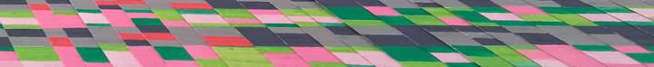 band vert rose web